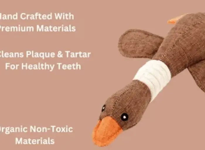 🔥ROBUSTDUCK-DESIGNED FOR HEAVY CHEWERS - 🚨 Limited-Time Offer: Today only. buy one ROBUSTDUCK and get one FREE!