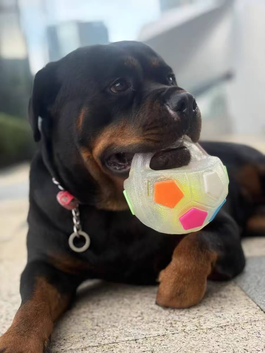 PawKick™ Durable Soccer Toy – Bouncy. Bite-Resistant & Fun  Buy one get one free, double the fun