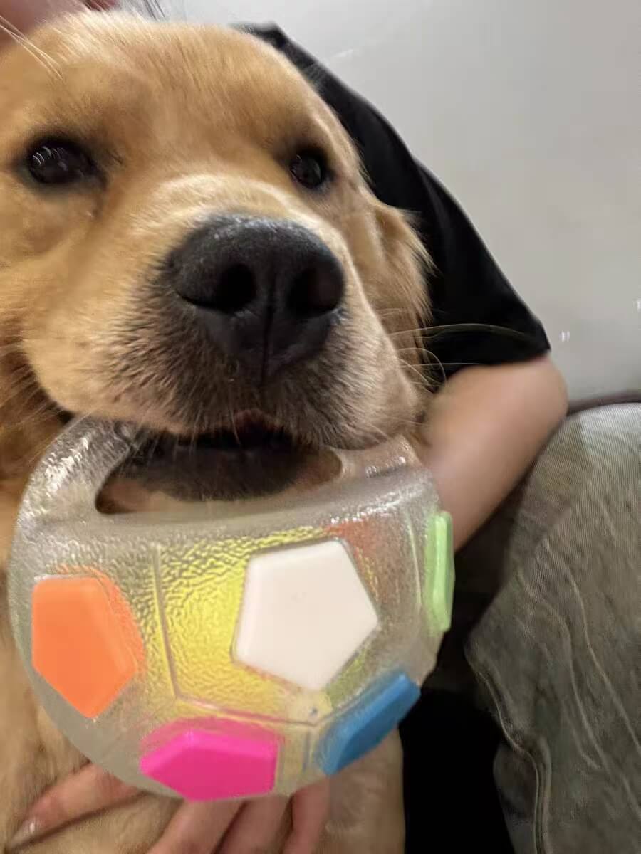 PawKick™ Durable Soccer Toy – Bouncy. Bite-Resistant & Fun  Buy one get one free, double the fun